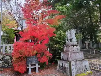 熊野神社の自然