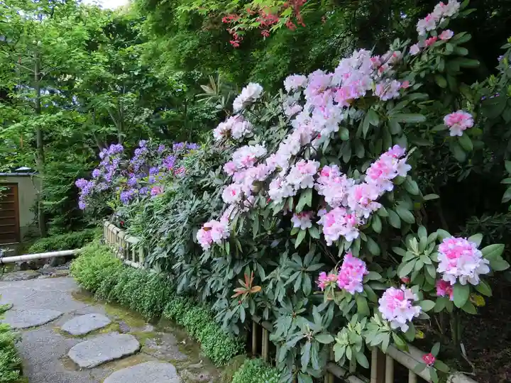 當麻寺西南院の自然