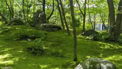 禅林寺(永観堂)(京都府)