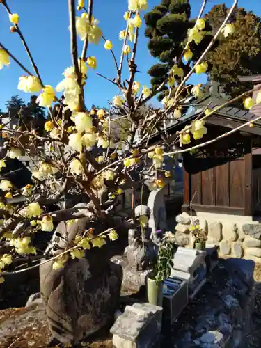 地蔵院の仏像