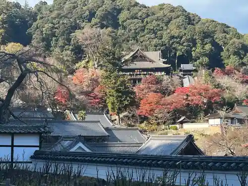 長谷寺(奈良県)