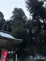 大宮温泉神社(栃木県)