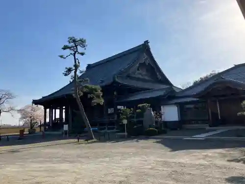 真宗大谷派本願寺別院（五村別院）の本殿