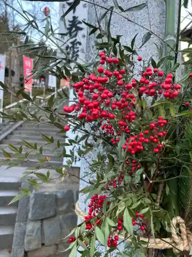 温泉神社〜いわき湯本温泉〜(福島県)
