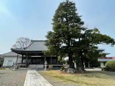 明照寺の{uncategorized: "未分類", other: "その他", undefined: "問題あり", building: "その他建物", grave: "お墓", sacred_gate: "鳥居", guardian: "狛犬", statue: "像", buddha: "仏像", history: "歴史", nature: "自然", garden: "庭園", animal: "動物", pagoda: "塔", temizu: "手水舎", mountain_gate: "山門・神門", sanctuary: "本殿・本堂", subordinate: "末社・摂社", art: "芸術", scenery: "景色", jizo: "地蔵", ema: "絵馬", goshuin: "御朱印", omikuji: "おみくじ", items: "授与品その他", amulet: "お守り", goshuincho: "御朱印帳", eats: "食事", festival: "お祭り", votive_dance: "神楽", shichigosan: "七五三参", wedding: "結婚式", experience: "体験その他", initially: "初詣", around: "周辺", anti_infection: "感染症対策"}
