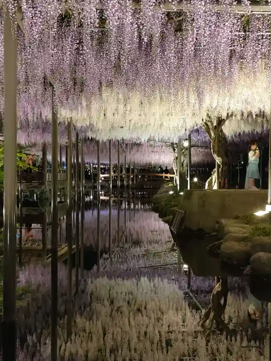津島神社の周辺