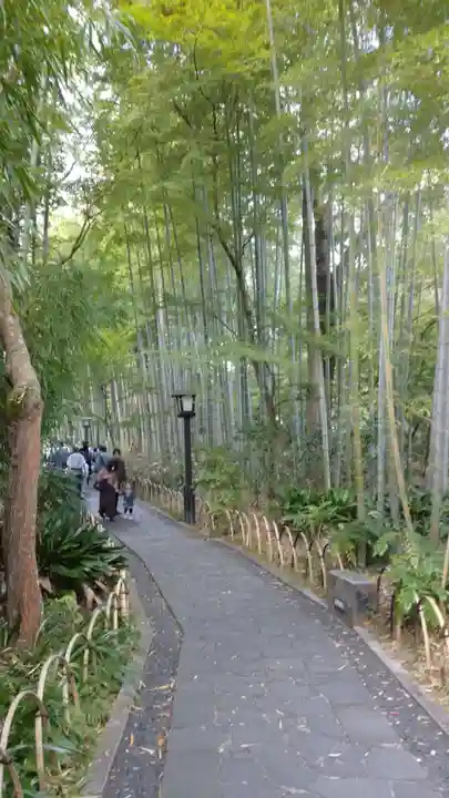 修禅寺(静岡県)