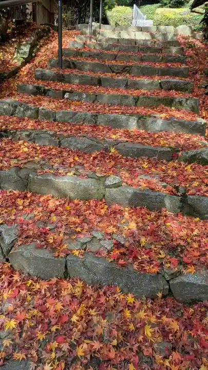 高倉天皇皇后 大原西陵(京都府)