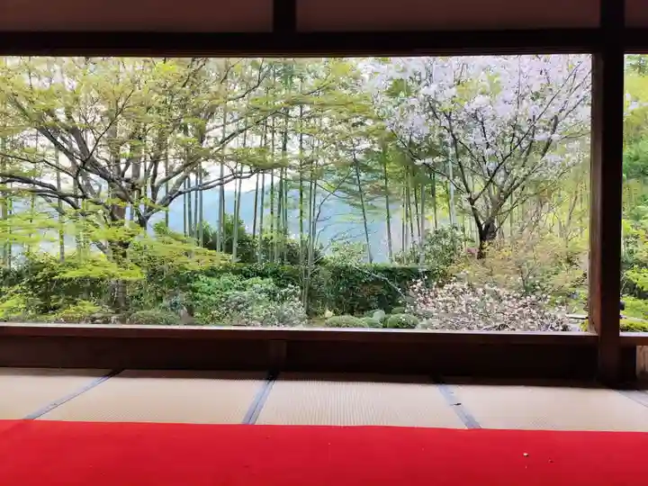 宝泉院(京都府)