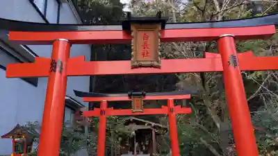 白長社の鳥居