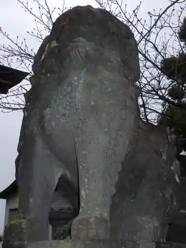 井上八幡神社の狛犬