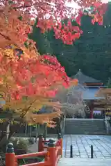 高野山金剛峯寺奥の院(和歌山県)