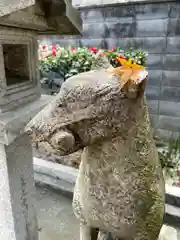 天神社の狛犬