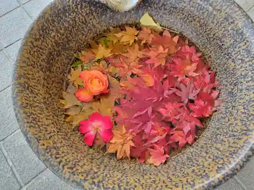 美瑛神社の芸術