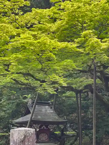 北口本宮冨士浅間神社(山梨県)