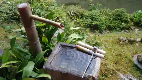 実相院門跡の手水舎