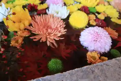 石清水八幡宮の手水舎