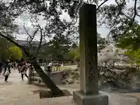 東大寺(奈良県)