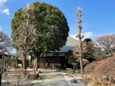 清泰寺の本殿・本堂
