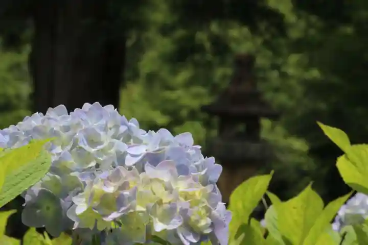国宝 大法寺の自然