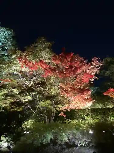 東寺（教王護国寺）(京都府)