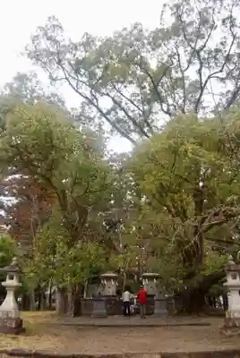 大斎原(熊野本宮大社旧社地)の本殿・本堂