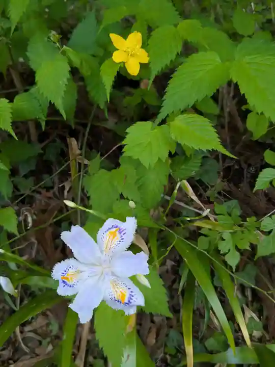 中尊寺(岩手県)