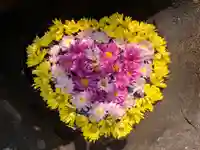 真言宗 善通寺派 薬王寺(香川県)