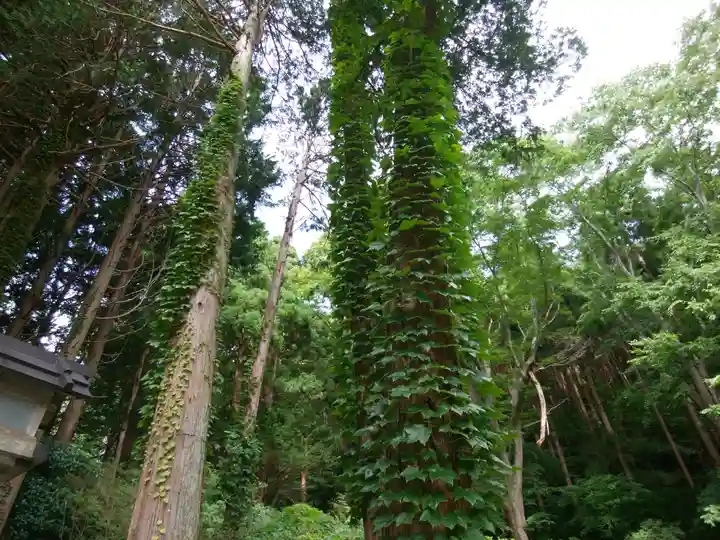 函館八幡宮の自然