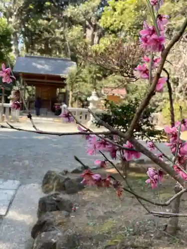 葛原岡神社(神奈川県)