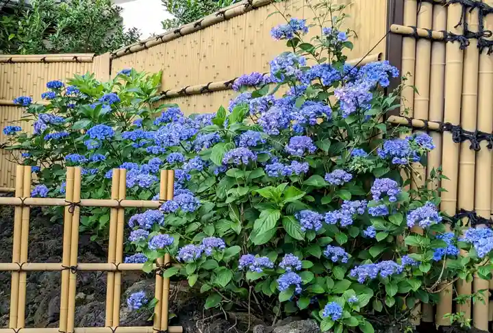 中野沼袋氷川神社(東京都)
