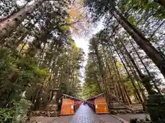 彌彦神社(新潟県)