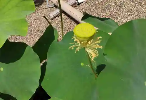後白河院御聖蹟　法住寺の自然