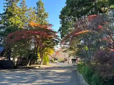 高麗神社(埼玉県)