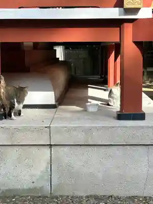 柏諏訪神社(千葉県)