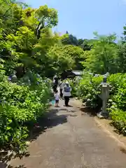 観音寺(京都府)