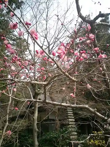 覚園寺のその他建物