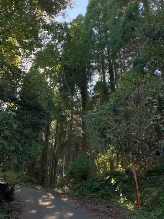大杉神社の周辺