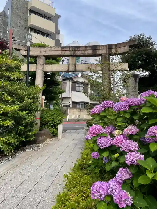 鳩森八幡神社の鳥居