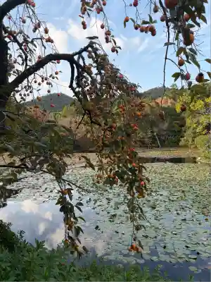 龍安寺(京都府)