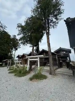 鷲宮神社の{uncategorized: "未分類", other: "その他", undefined: "問題あり", building: "その他建物", grave: "お墓", sacred_gate: "鳥居", guardian: "狛犬", statue: "像", buddha: "仏像", history: "歴史", nature: "自然", garden: "庭園", animal: "動物", pagoda: "塔", temizu: "手水舎", mountain_gate: "山門・神門", sanctuary: "本殿・本堂", subordinate: "末社・摂社", art: "芸術", scenery: "景色", jizo: "地蔵", ema: "絵馬", goshuin: "御朱印", omikuji: "おみくじ", items: "授与品その他", amulet: "お守り", goshuincho: "御朱印帳", eats: "食事", festival: "お祭り", votive_dance: "神楽", shichigosan: "七五三参", wedding: "結婚式", experience: "体験その他", initially: "初詣", around: "周辺", anti_infection: "感染症対策"}