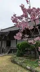 勧修寺(京都府)