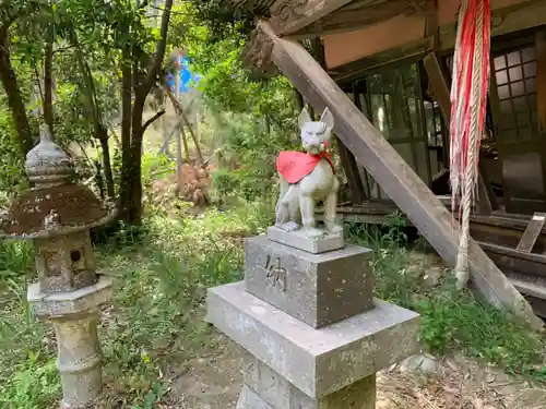 稲荷神社の狛犬