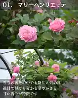 宝光寺(北海道)