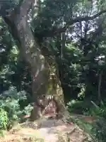 奈良豆比古神社の自然