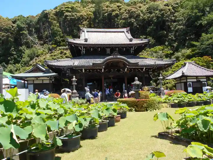 三室戸寺の本殿・本堂