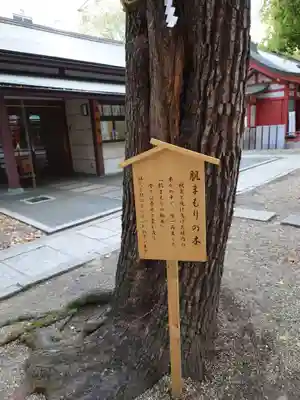 御霊神社(大阪府)