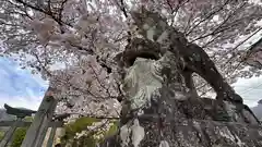 船川八幡宮(岡山県)