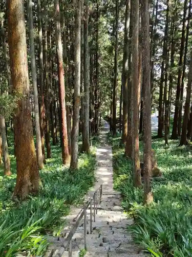 高蔵寺の庭園