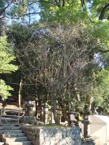 春日大社の自然